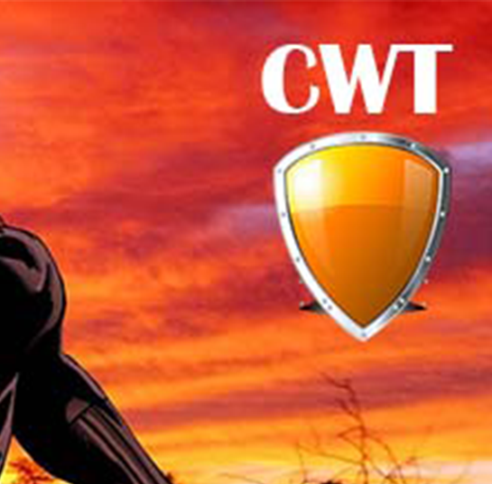 Cyber Warrior Training Course